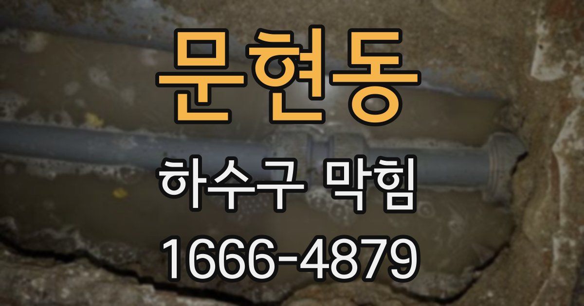 문현동 하수구 막힘