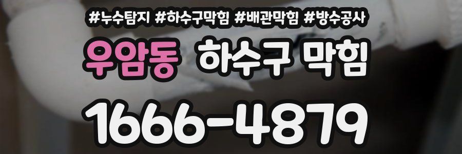 우암동 하수구 막힘
