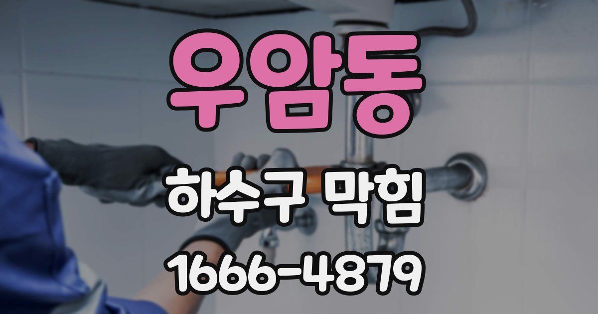 우암동 하수구 막힘