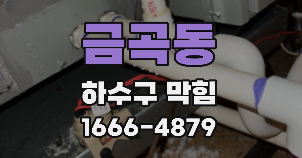 금곡동 하수구 막힘