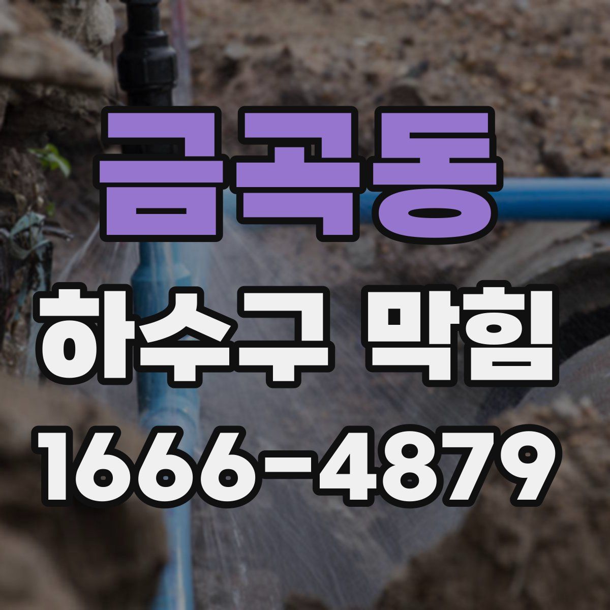 금곡동 하수구 막힘