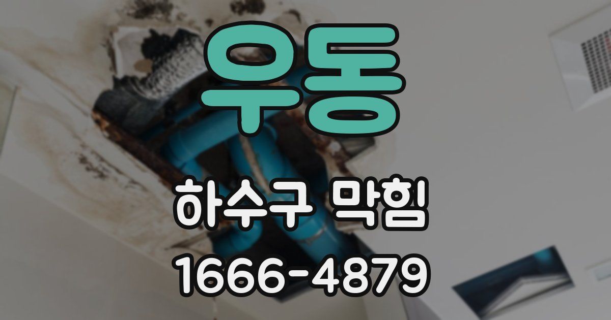 우동 하수구 막힘