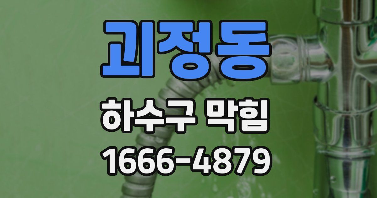 괴정동 하수구 막힘