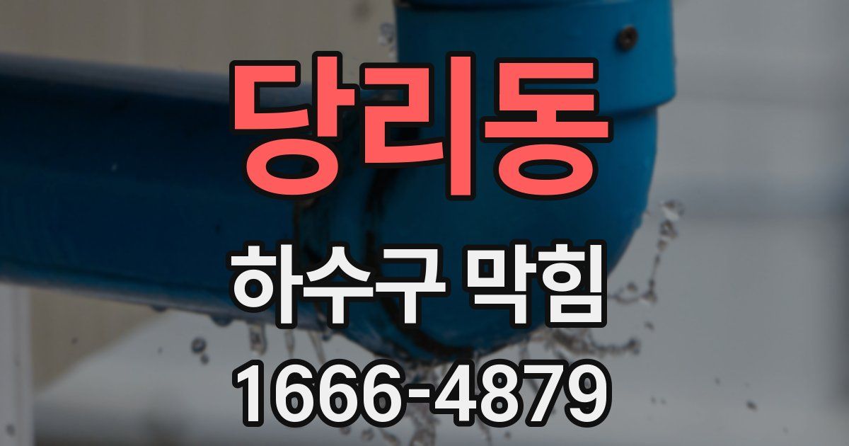 당리동 하수구 막힘