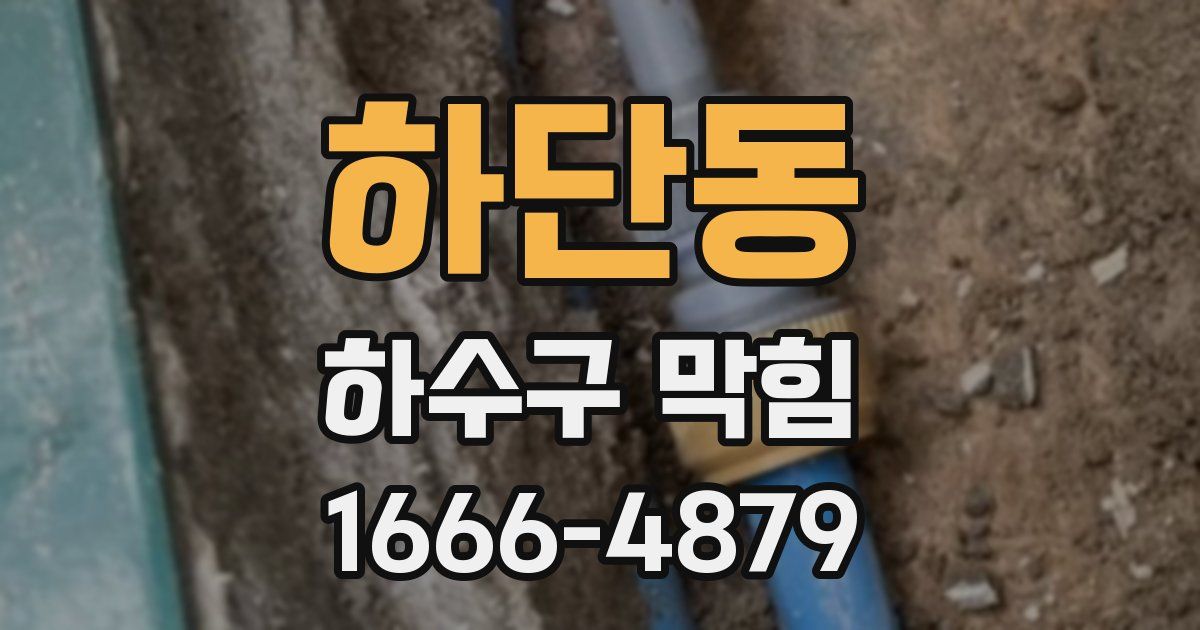 하단동 하수구 막힘