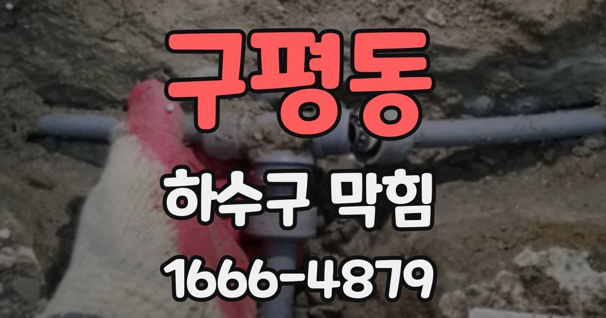 구평동 하수구 막힘