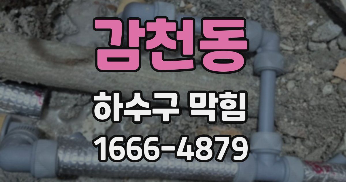 감천동 하수구 막힘
