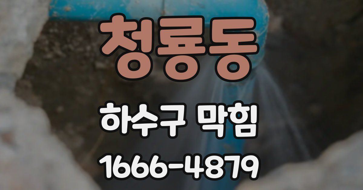 청룡동 하수구 막힘