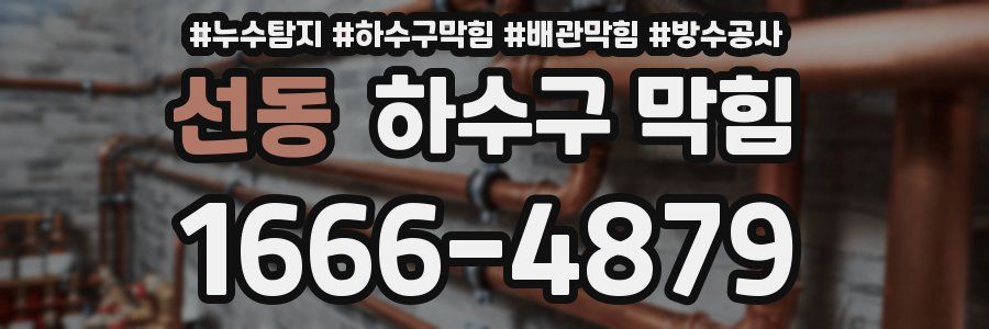 선동 하수구 막힘