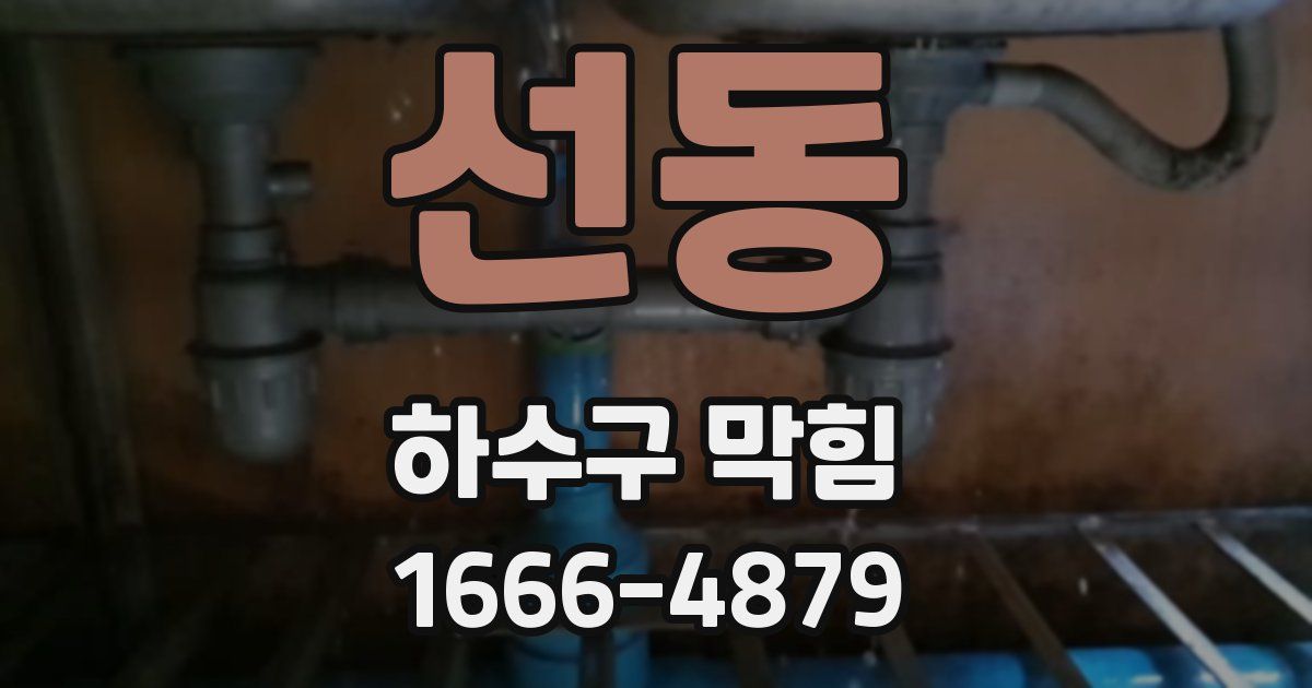 선동 하수구 막힘