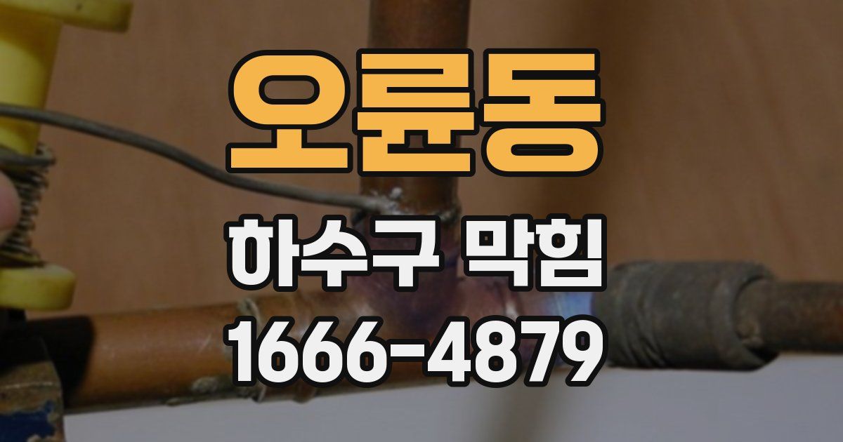 오륜동 하수구 막힘