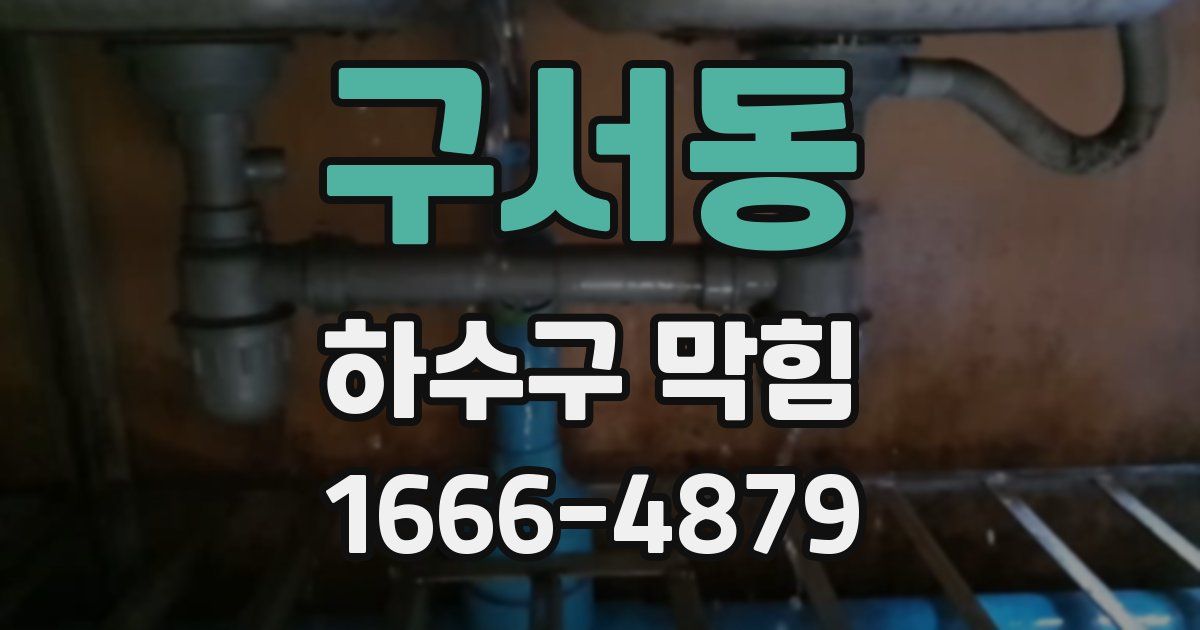 구서동 하수구 막힘