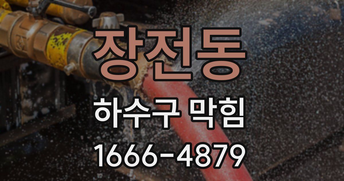 장전동 하수구 막힘