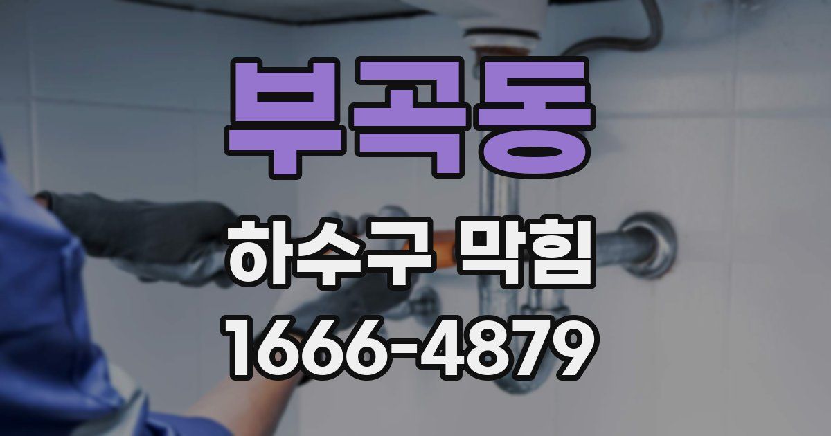 부곡동 하수구 막힘