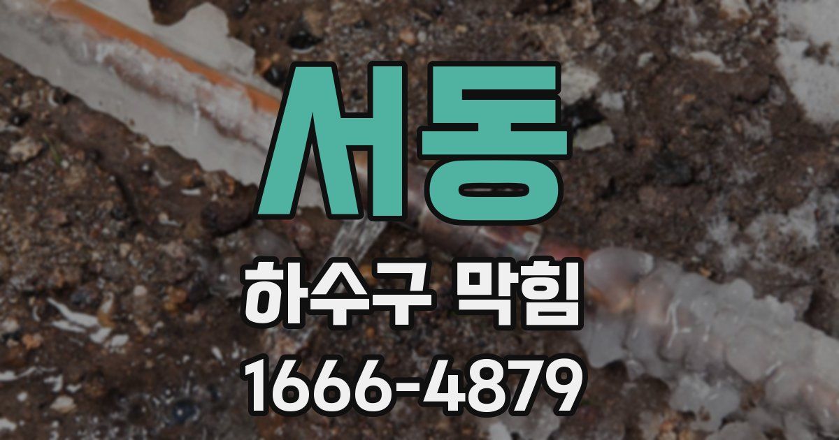 서동 하수구 막힘