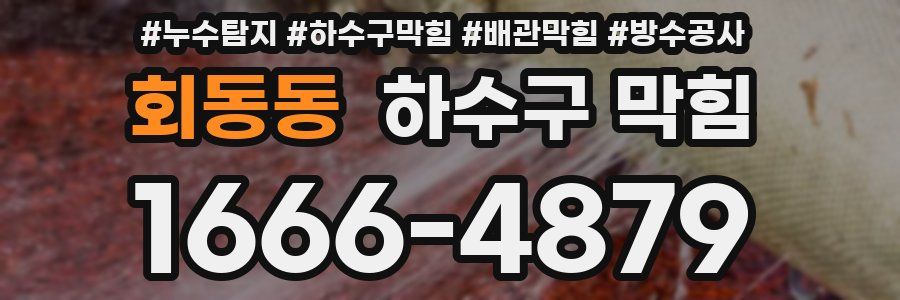 회동동 하수구 막힘