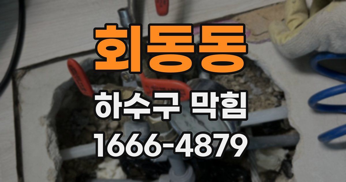 회동동 하수구 막힘