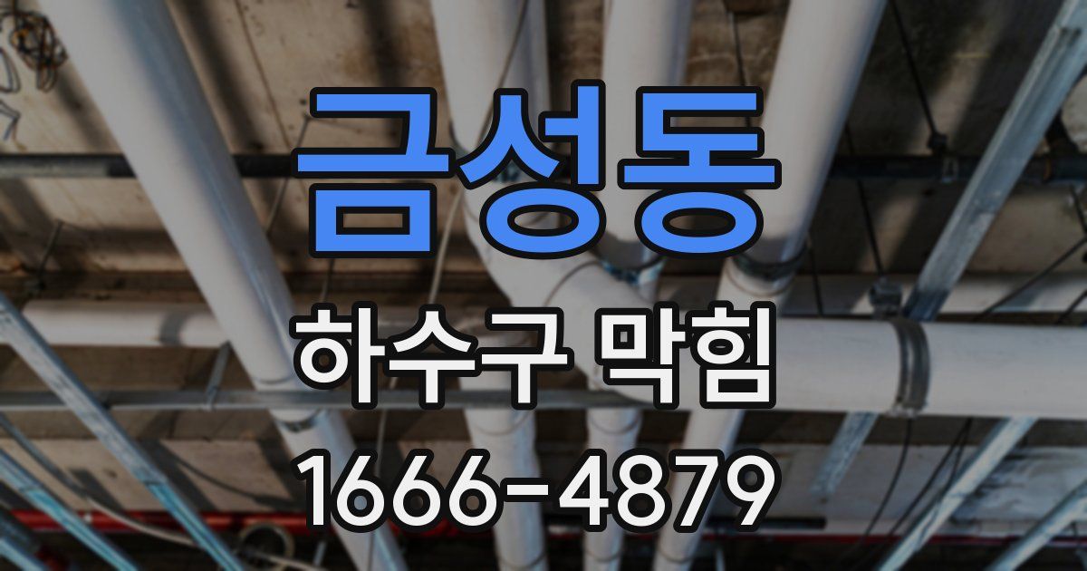 금성동 하수구 막힘