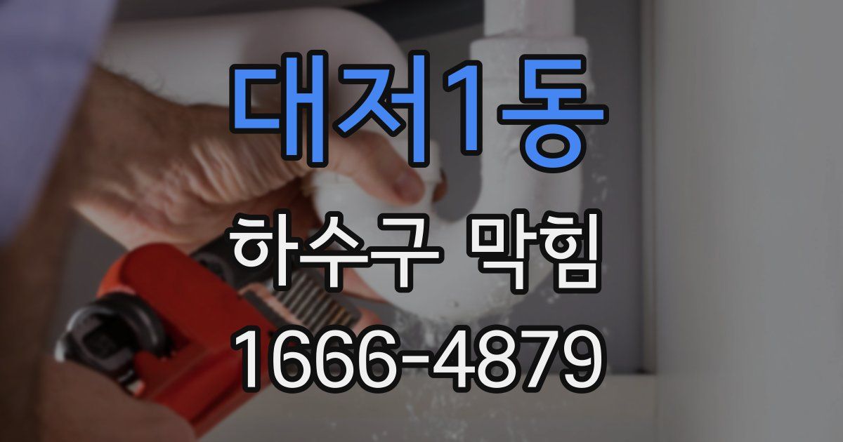대저1동 하수구 막힘