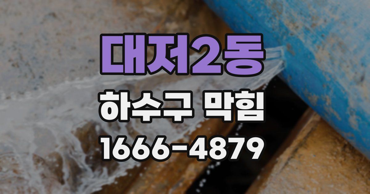 대저2동 하수구 막힘