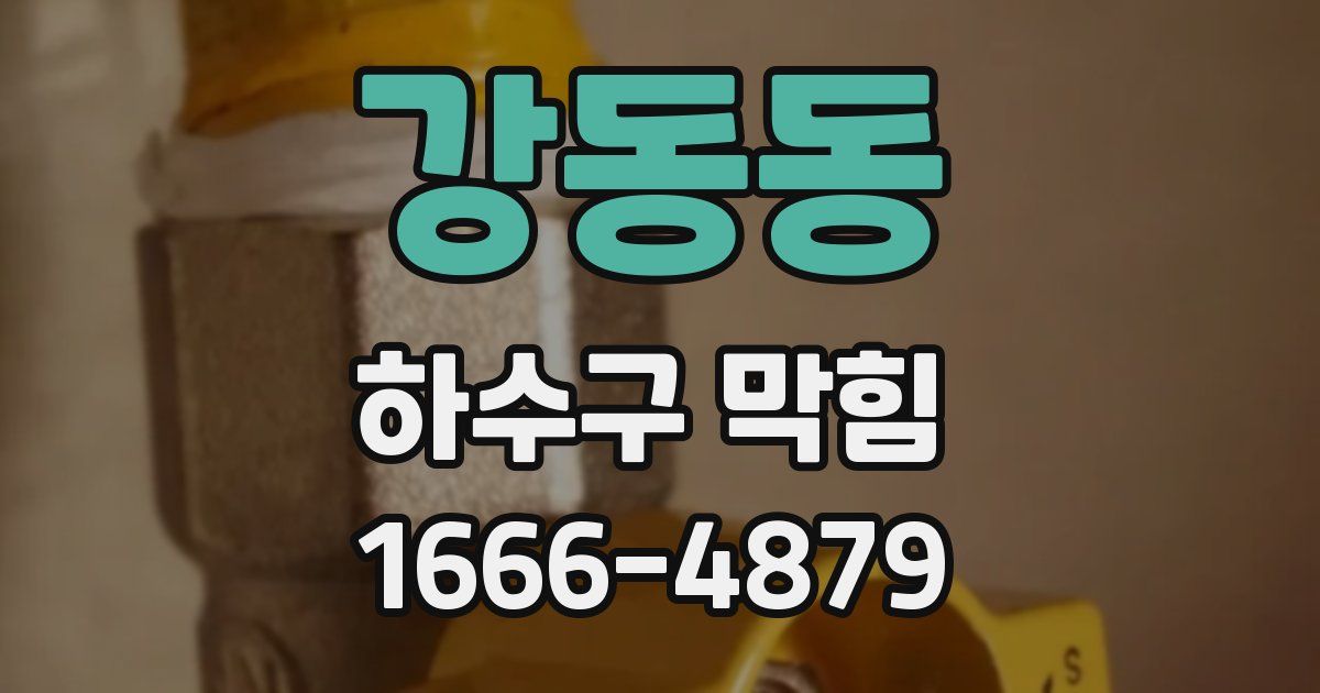 강동동 하수구 막힘