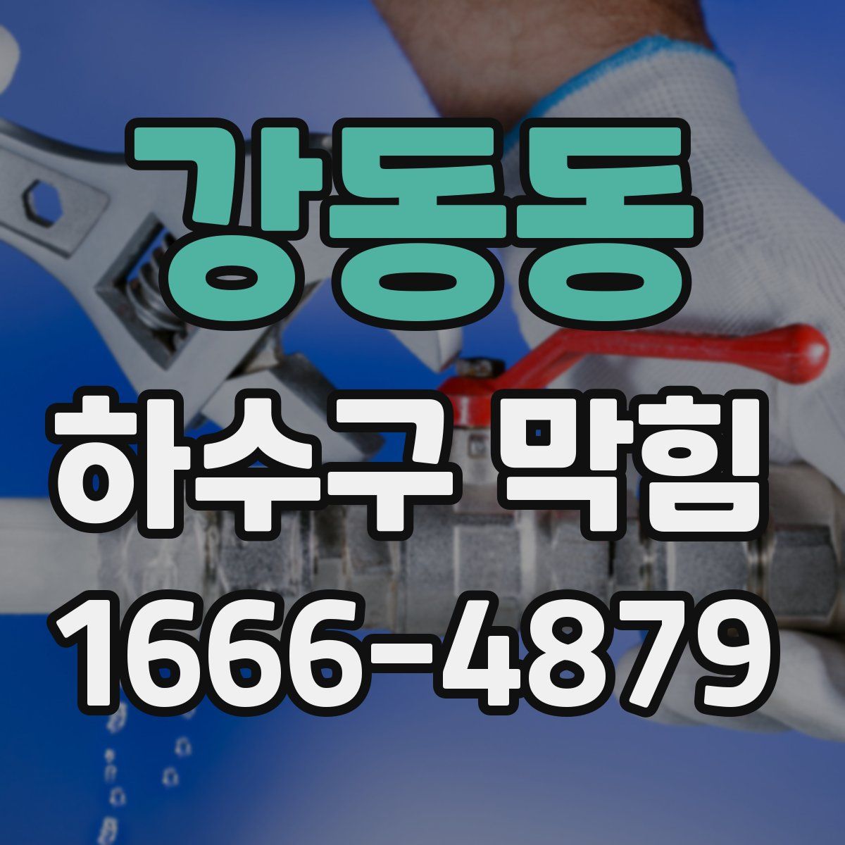 강동동 하수구 막힘