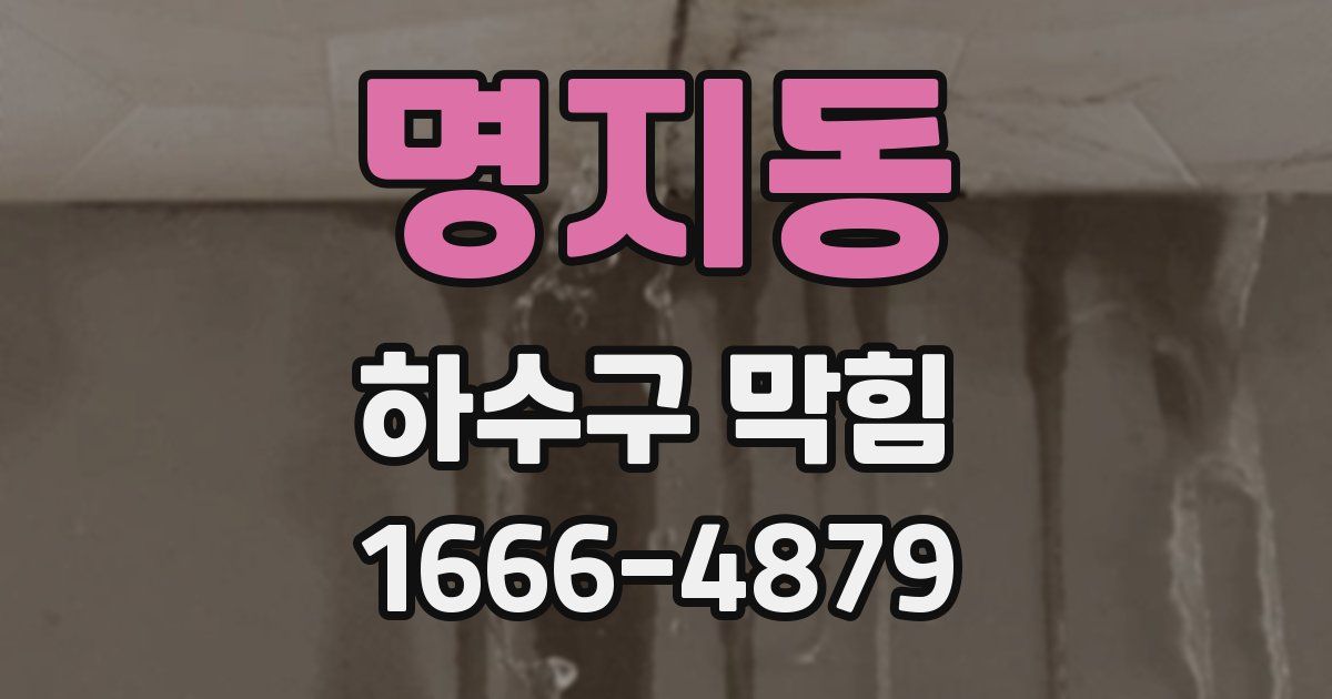 명지동 하수구 막힘