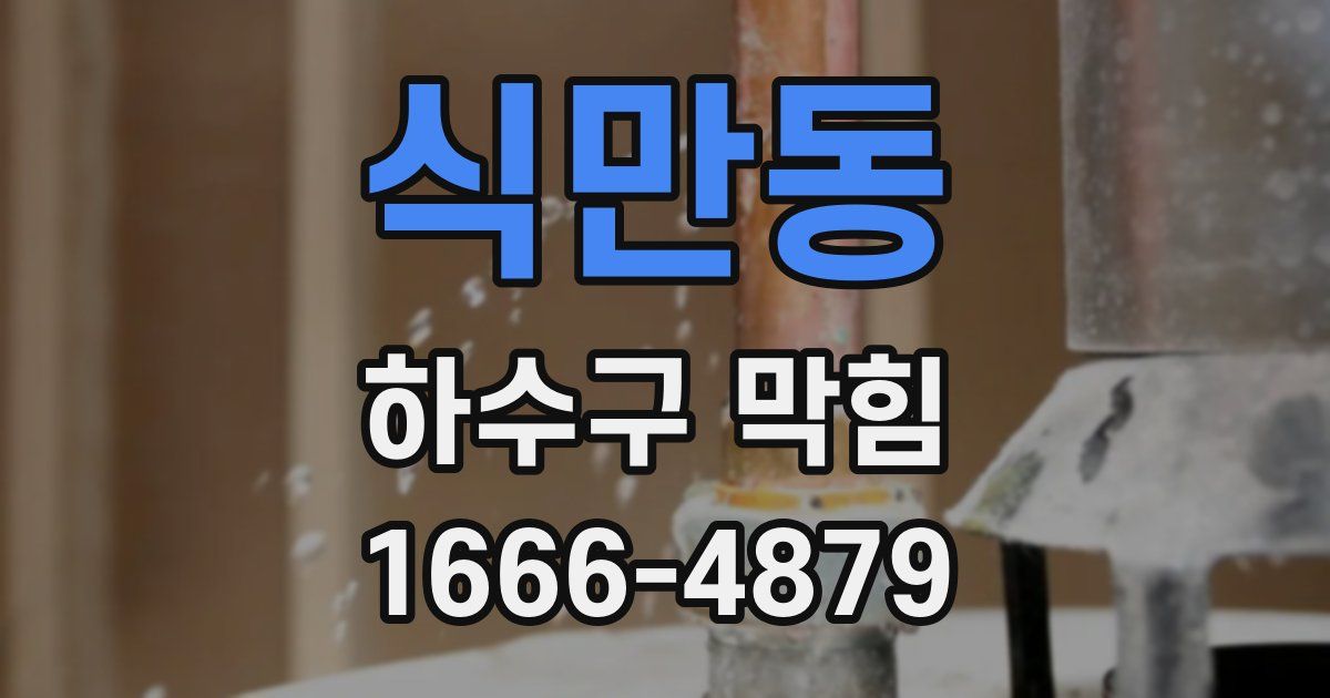 식만동 하수구 막힘