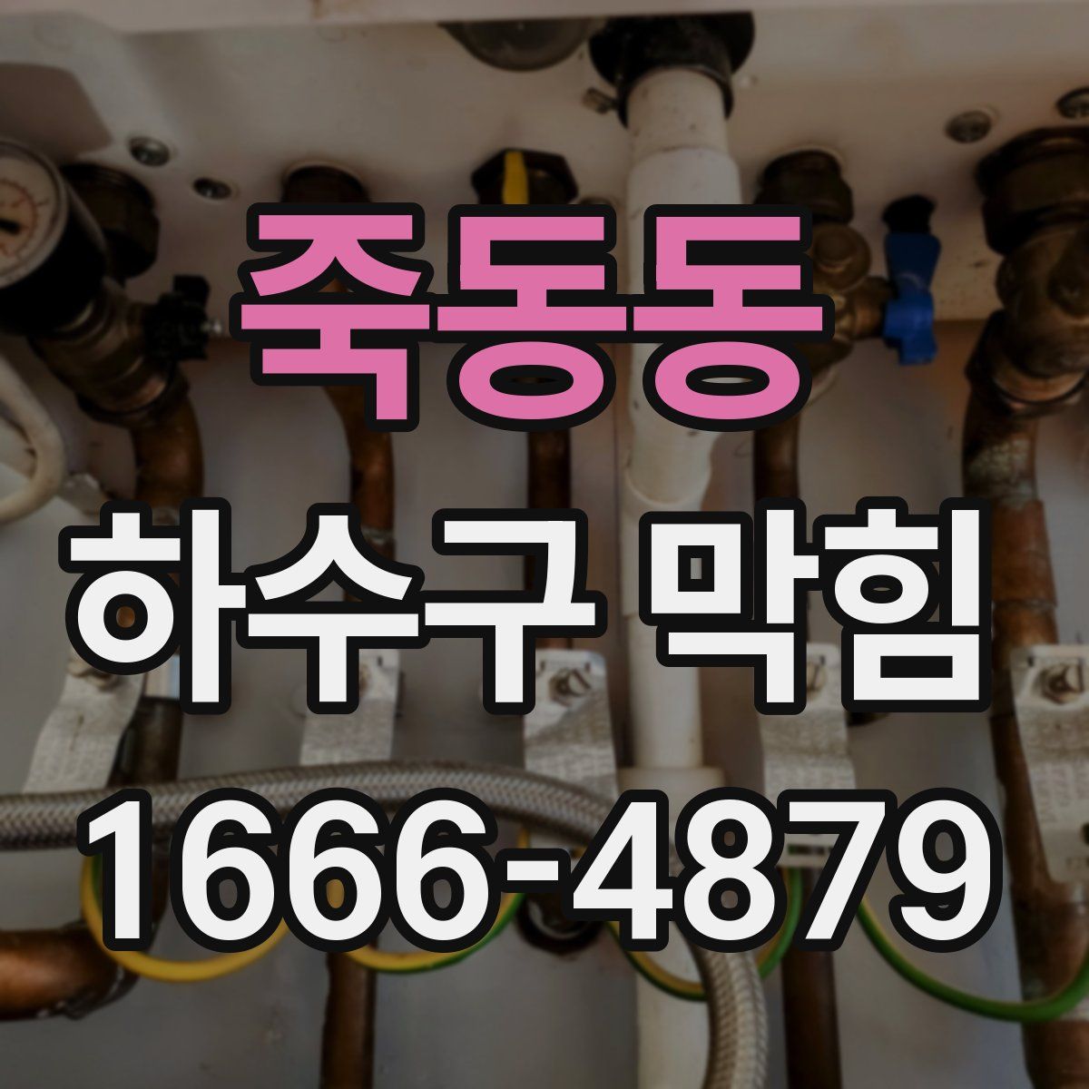 죽동동 하수구 막힘