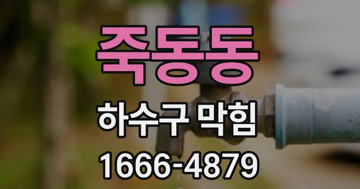 죽동동 하수구 막힘