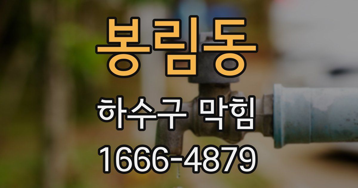 봉림동 하수구 막힘