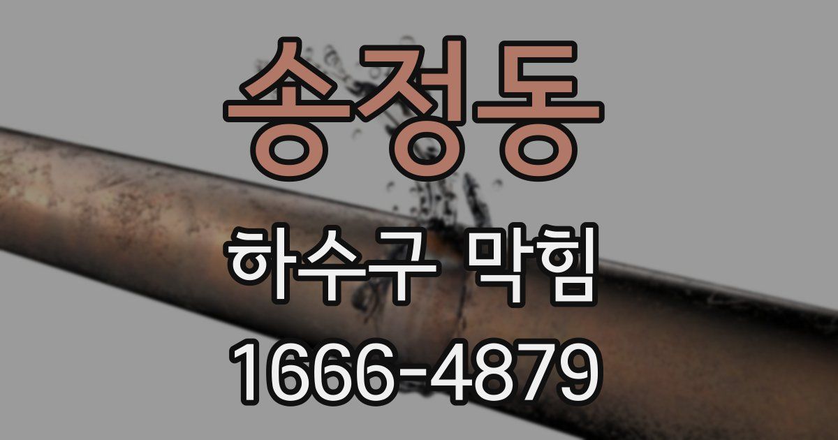 송정동 하수구 막힘