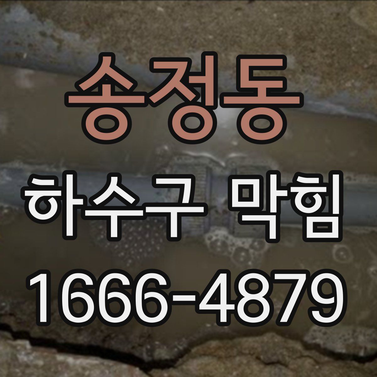 송정동 하수구 막힘