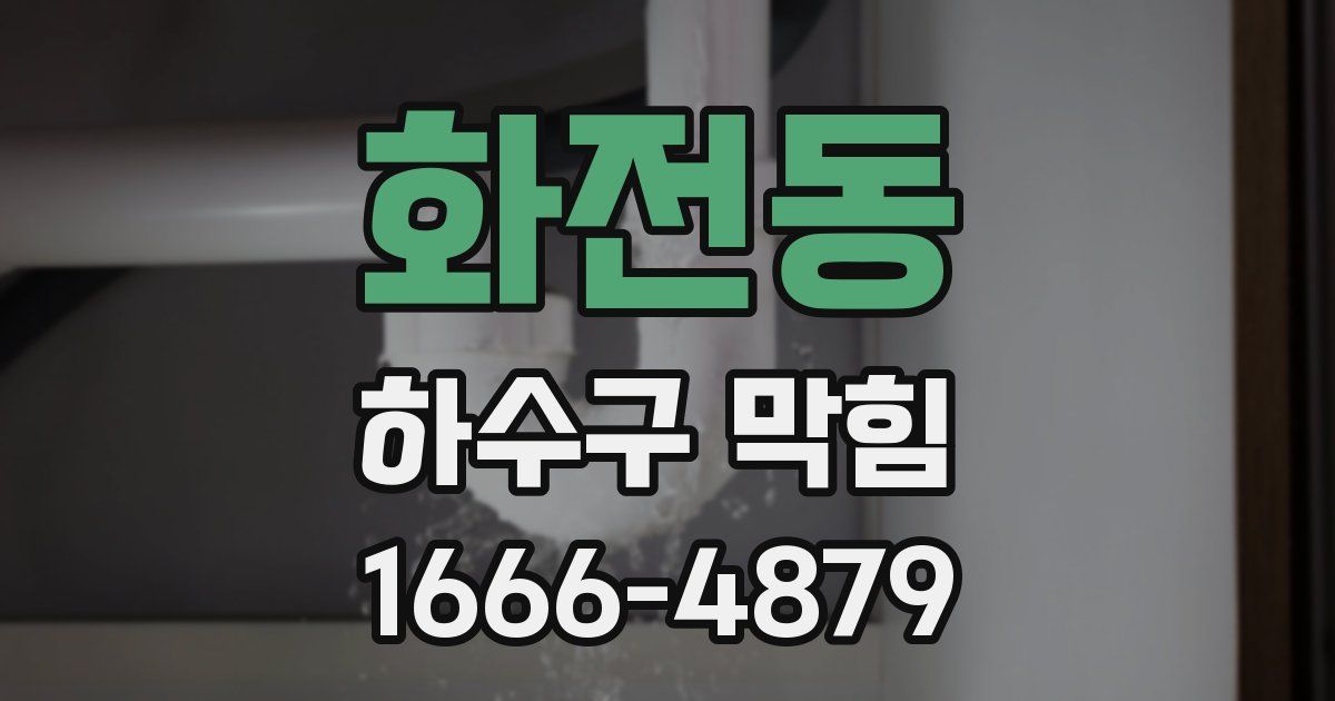 화전동 하수구 막힘