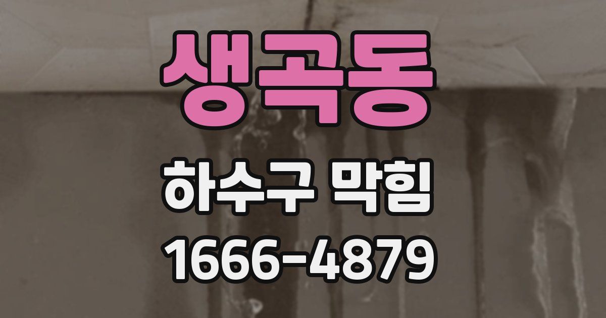생곡동 하수구 막힘
