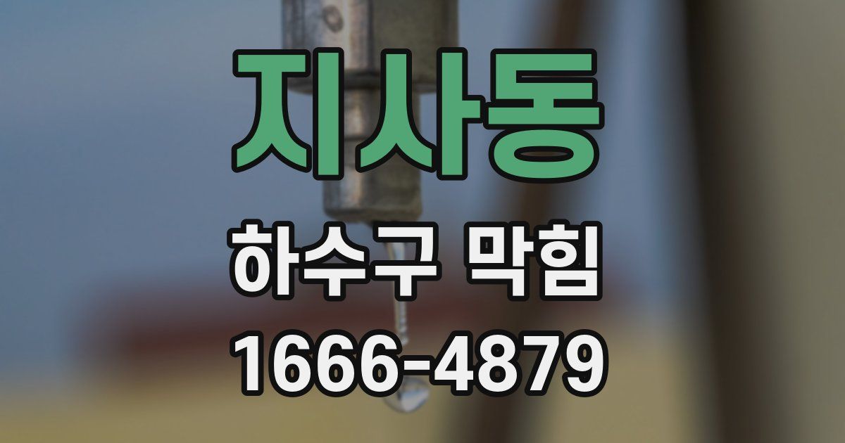 지사동 하수구 막힘