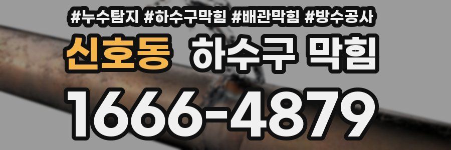 신호동 하수구 막힘