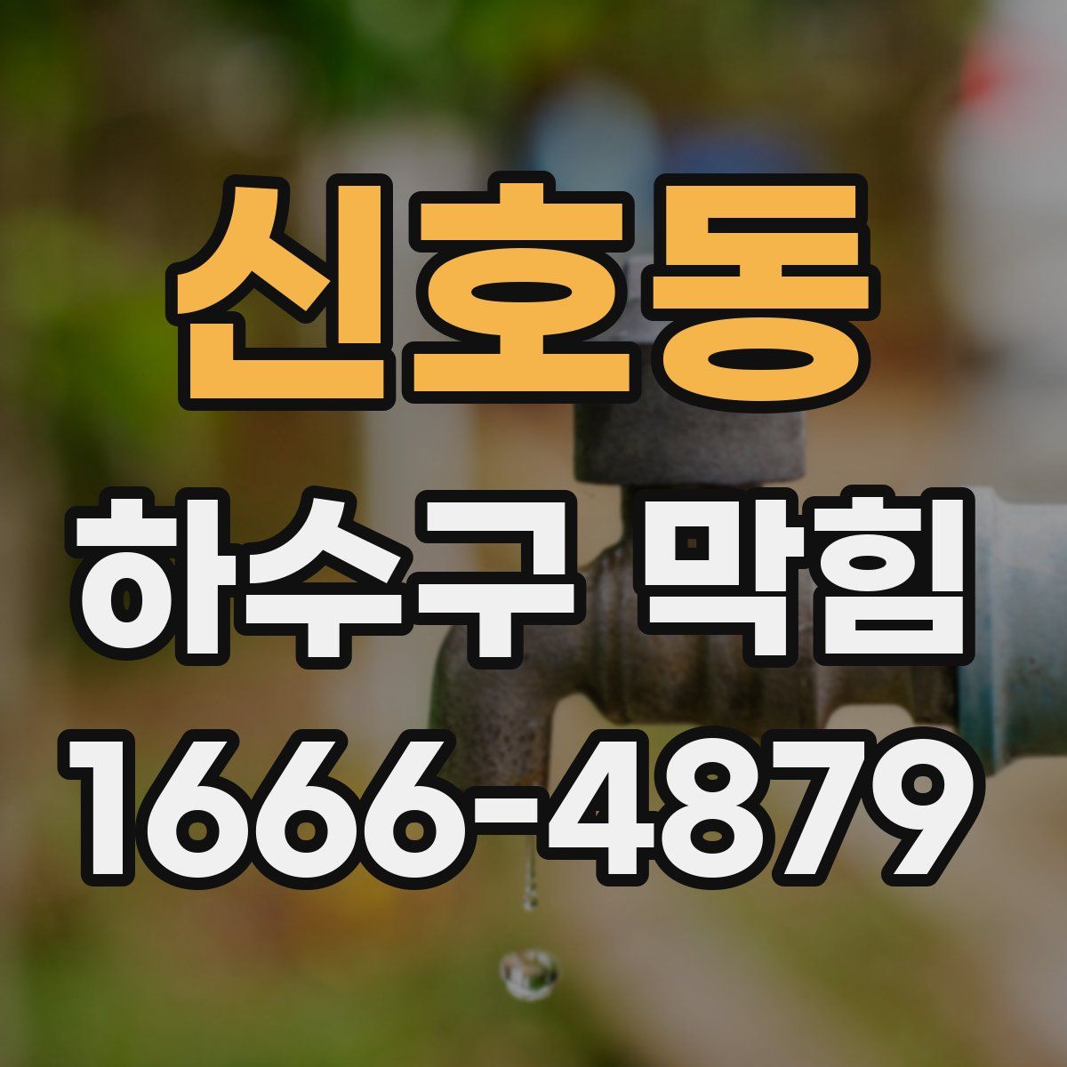 신호동 하수구 막힘