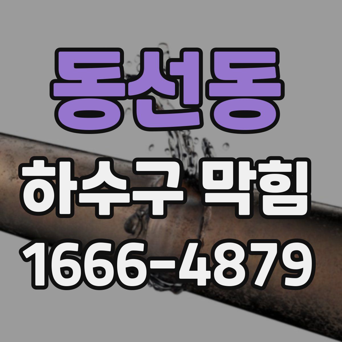동선동 하수구 막힘