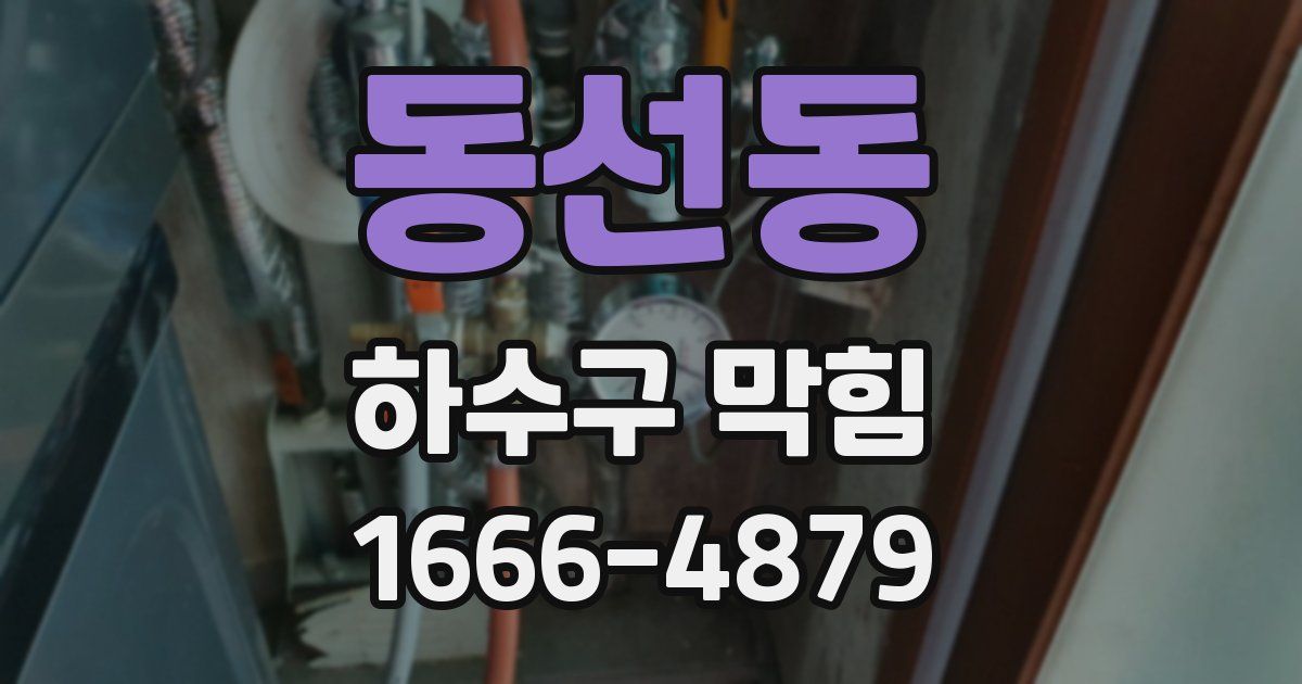 동선동 하수구 막힘