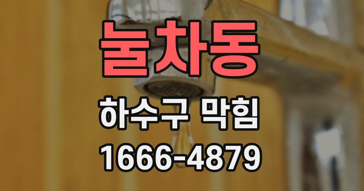 눌차동 하수구 막힘