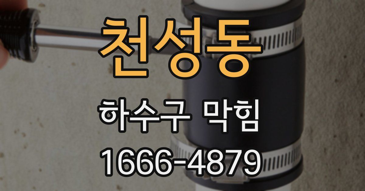 천성동 하수구 막힘