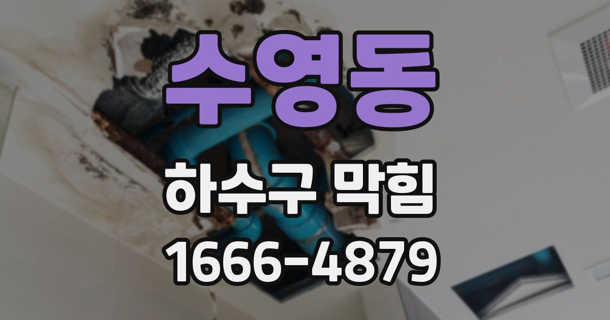 수영동 하수구 막힘