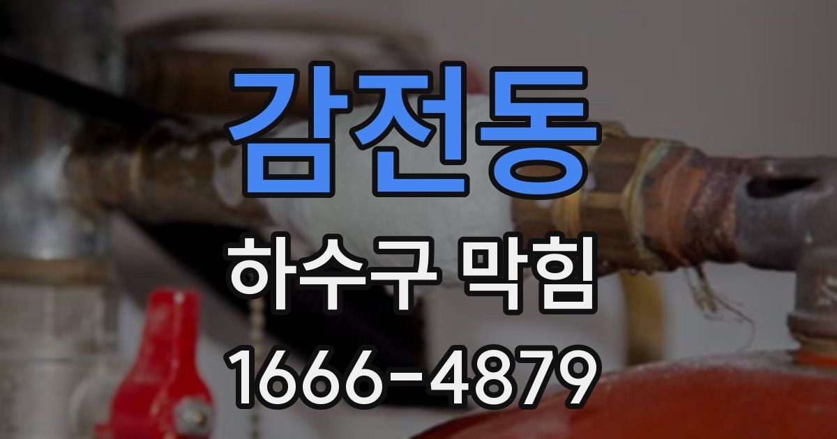 감전동 하수구 막힘
