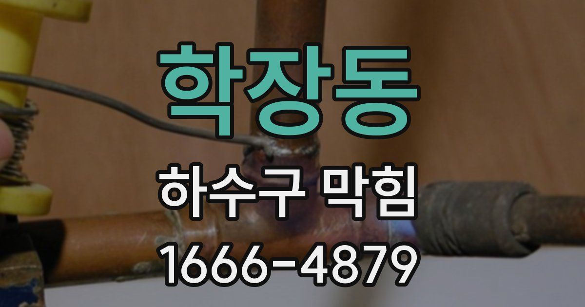 학장동 하수구 막힘