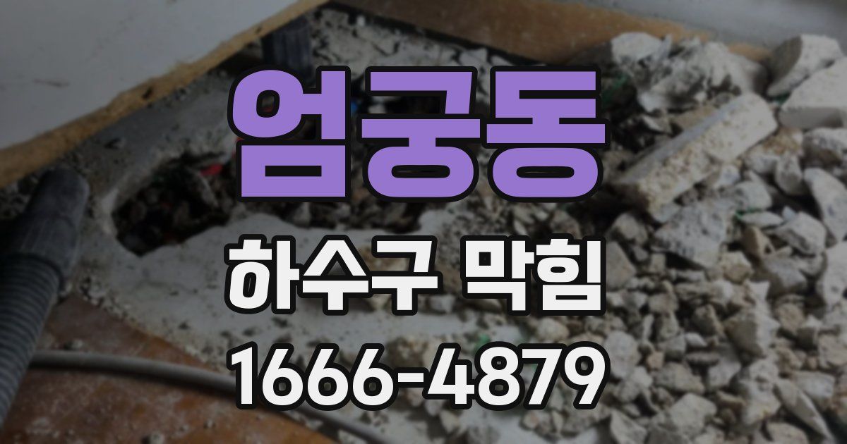 엄궁동 하수구 막힘