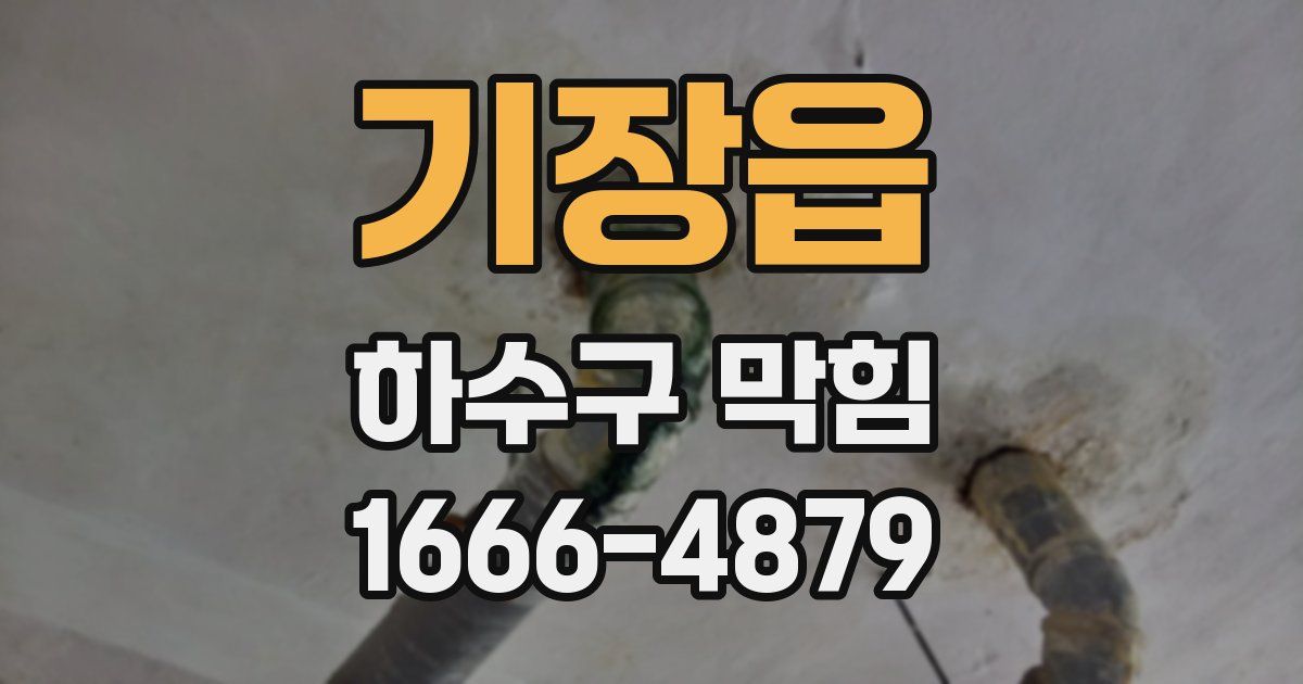 기장읍 하수구 막힘
