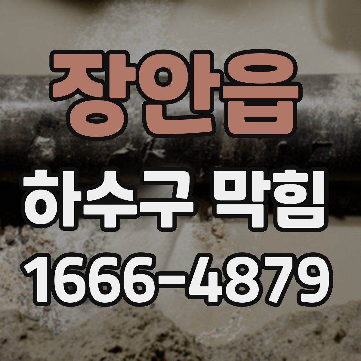 장안읍 하수구 막힘