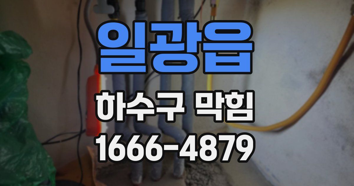 일광읍 하수구 막힘