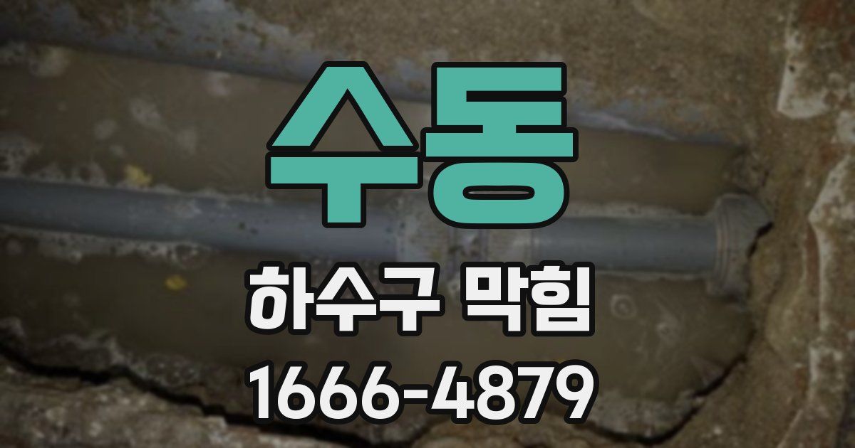 수동 하수구 막힘